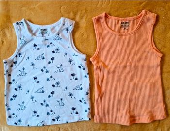 Lot de 2 maillots neuf taille 9 mois 
