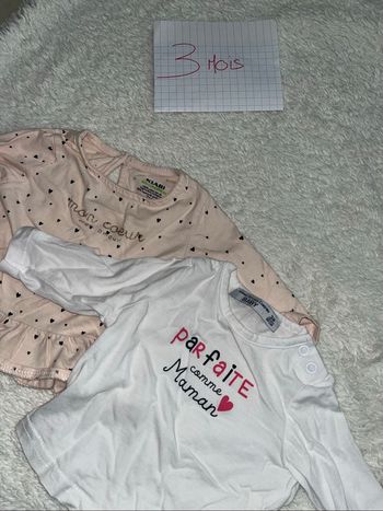 Lot 2 tee shirt manches longues