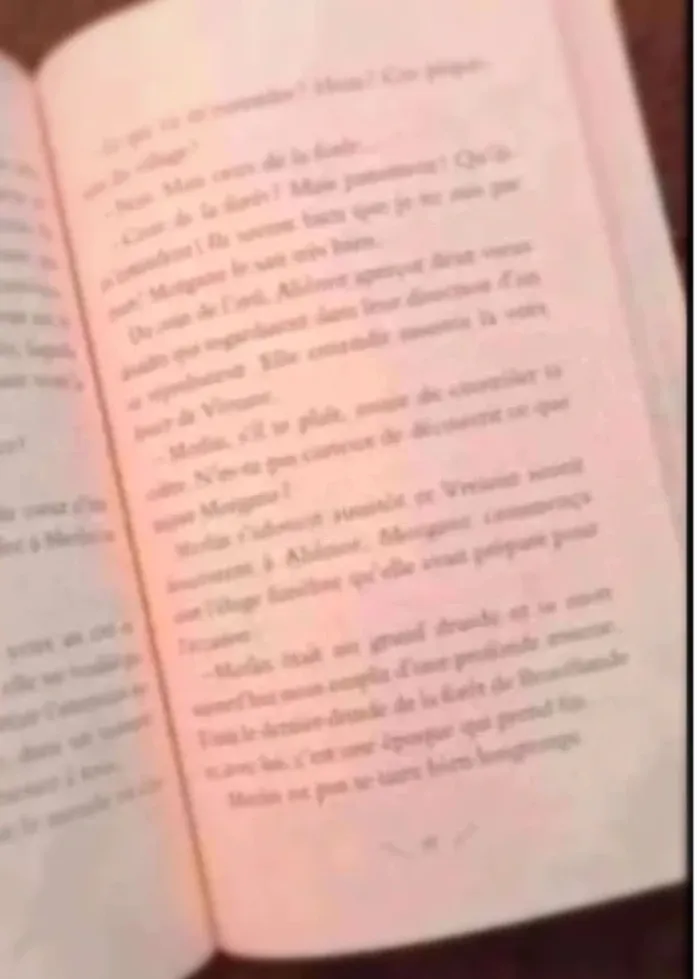 Livre Aliénor fille de Merlin à partir de 8 ans - photo numéro 3