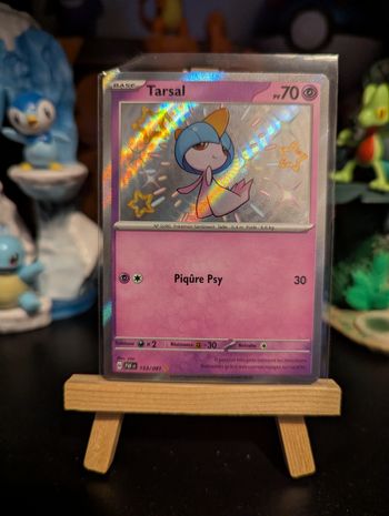 Tarsal 153/91 PAF