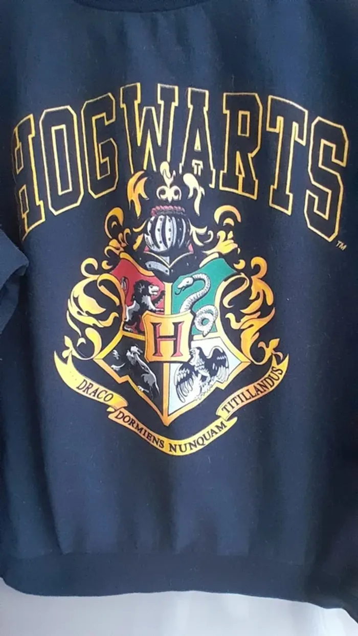 Sweat Harry Potter, bleu marine, imprimé, taille L - photo numéro 2