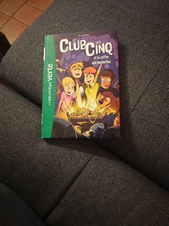 Le Club des Cinq et le coffre aux merveilles (tome 18)