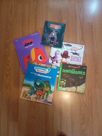 Lot de 5 livres thème dinosaures