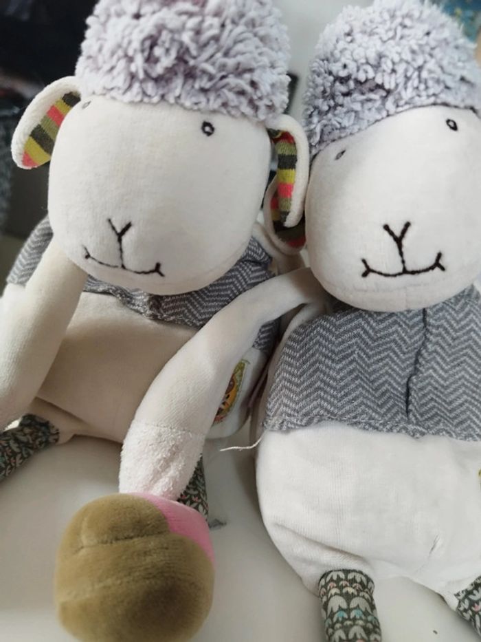 Lot Mouton Moulin Roty