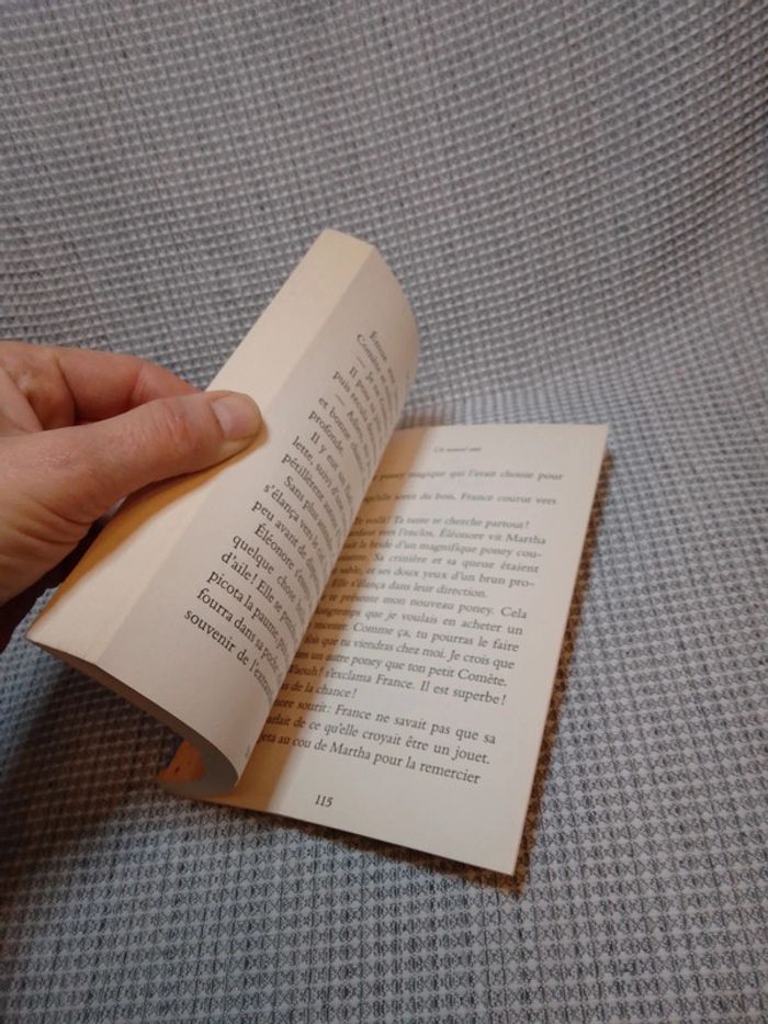 Un Nouvel Ami - Les Poneys Magiques T.1 - photo numéro 3