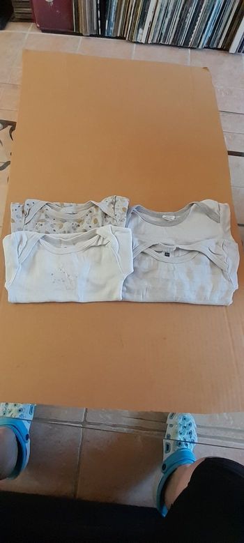 Lot 4 bodies