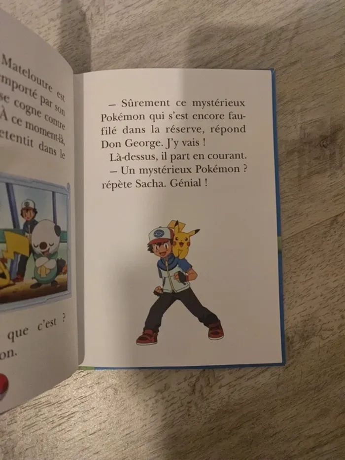 Livre pokémon - photo numéro 3