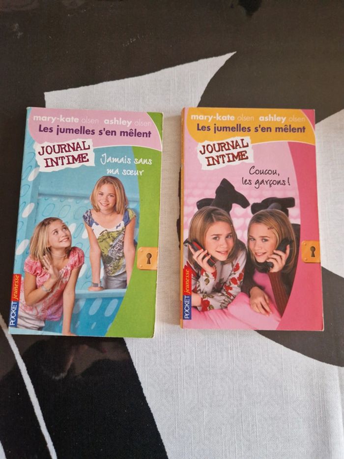 Lot 2 livres les jumelles s en mêlent journal intime