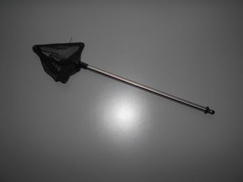 Epuisette extensible