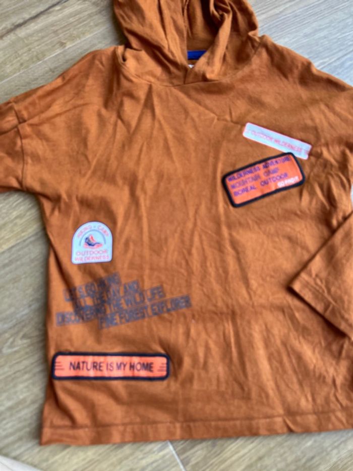 T shirt manches longues à capuche 5 ans - photo numéro 2