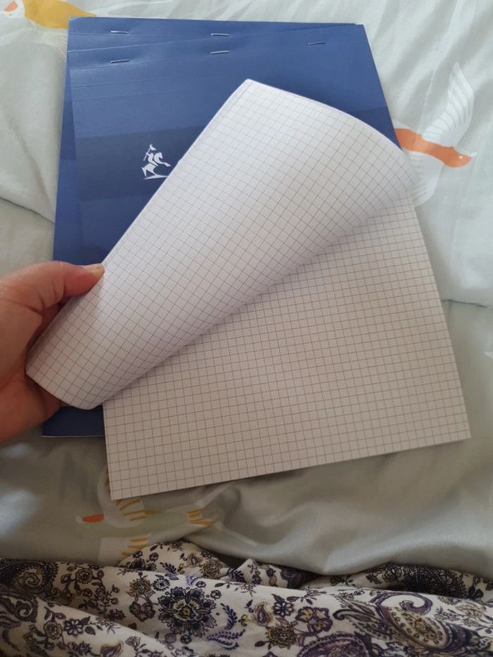 Lot de 2 bloc notes A4 conquérant - photo numéro 6