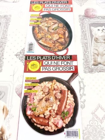 Lot de 2 livres de recettes