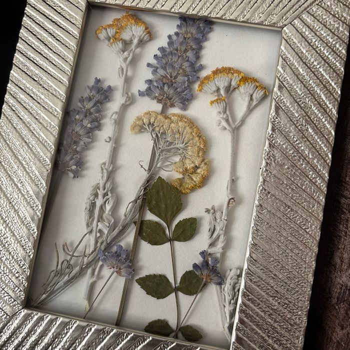 Cadre fleurs séchées