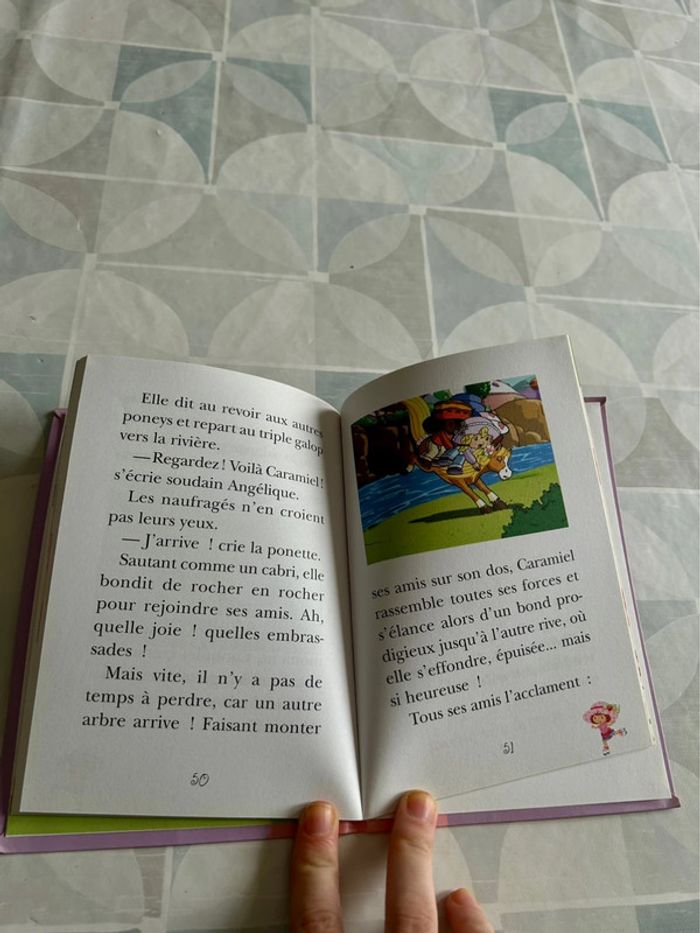 Livre Charlotte aux fraises - très bon état - photo numéro 3