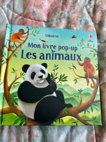 Livre pop up