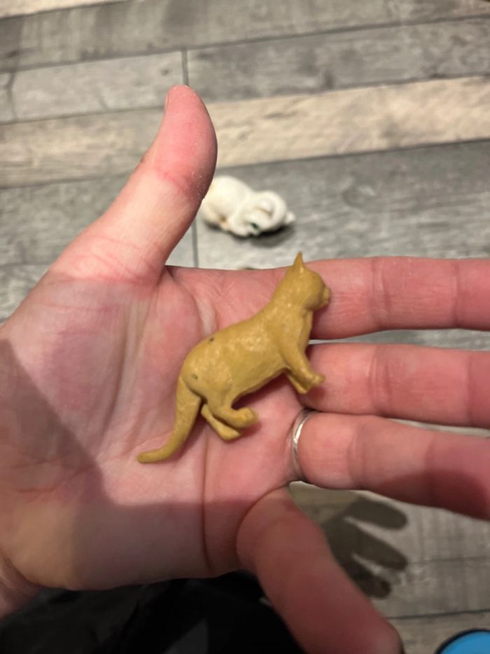 Lot animaux - photo numéro 17