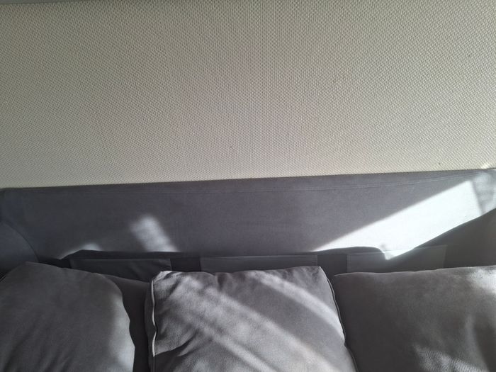 Canaper - photo numéro 6