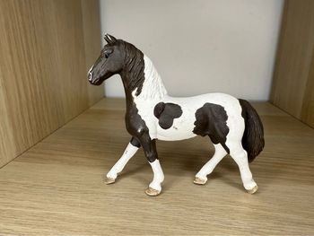 Étalon Pinto schleich