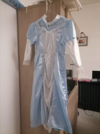 Déguisement princesse