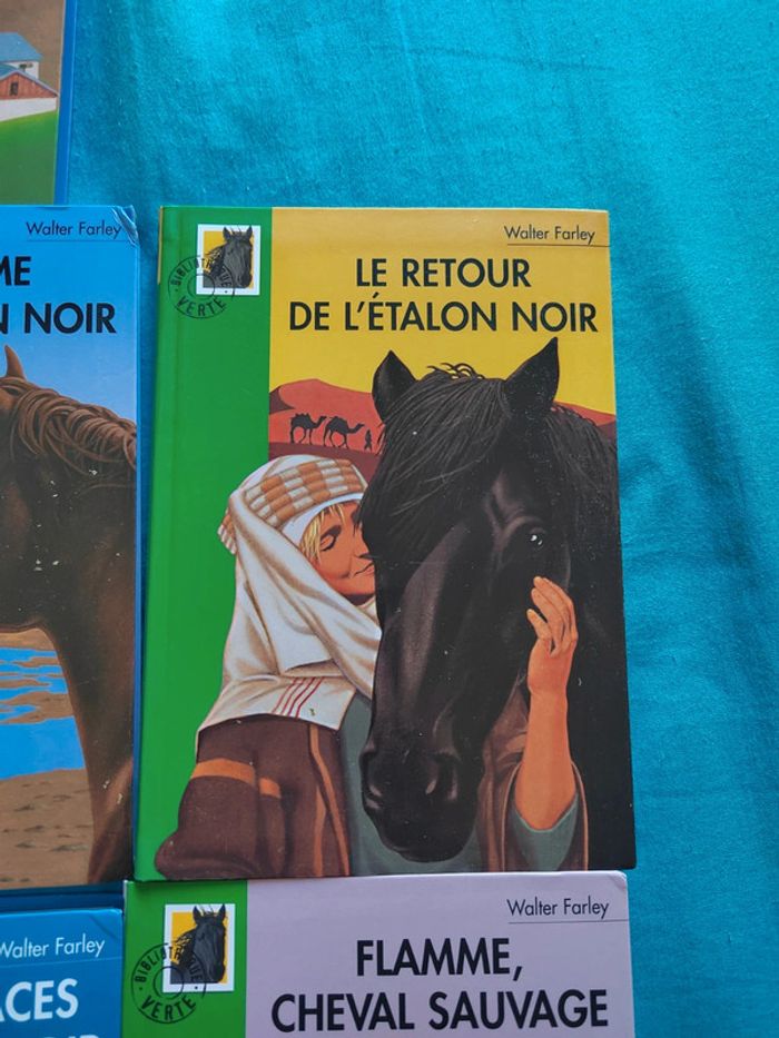 Lot de 7 livres l'étalon noir - photo numéro 5