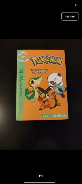 Pokémon un nouveau dresseur