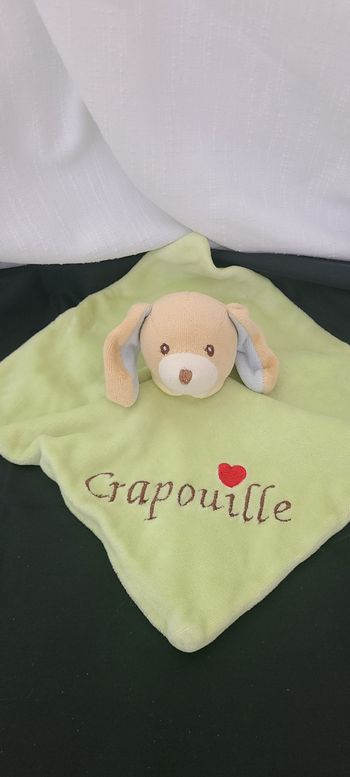Doudou plat chien vert Crapouille SANDY