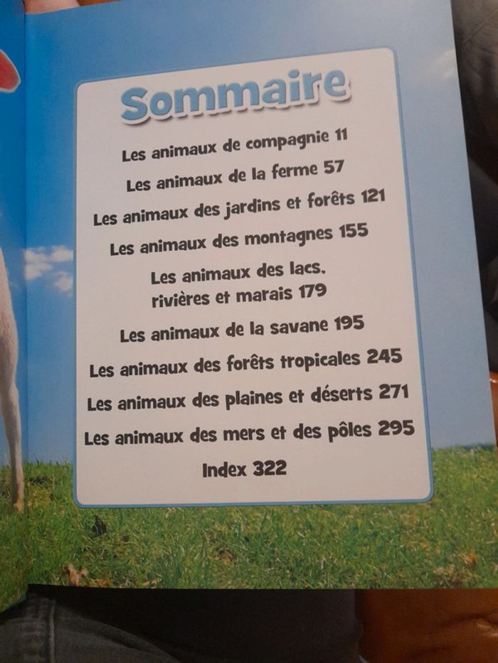 Les bébés animaux - photo numéro 6