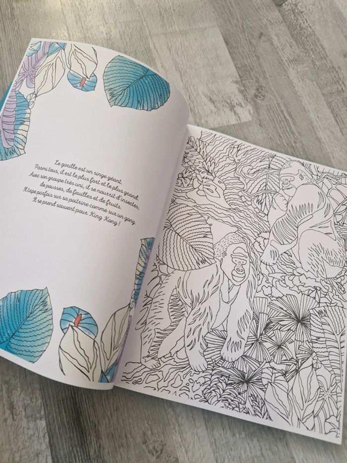 Livre coloriage jungle enchantée - photo numéro 3
