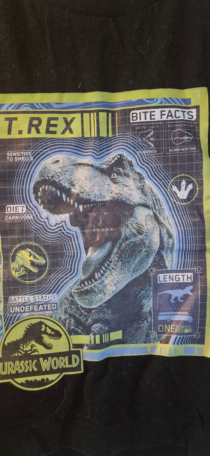 Lot t-shirt garçon 4 ans - photo numéro 5