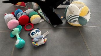 Lot jeux d’éveils