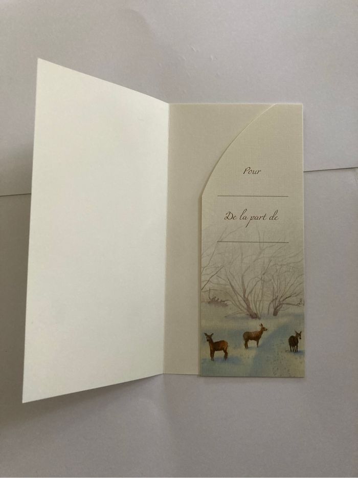 Lot 3 cartes de vœux - photo numéro 6