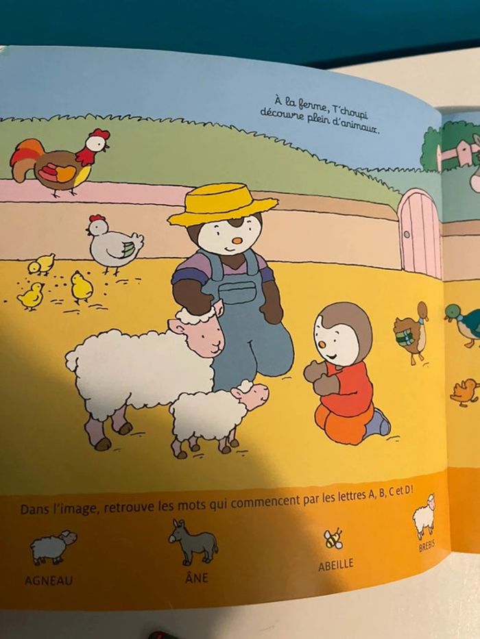 Livre l’abécédaire de t’choupi - photo numéro 6
