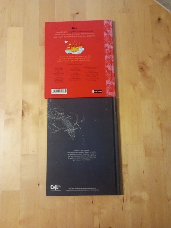 Lot de deux livres - photo numéro 2