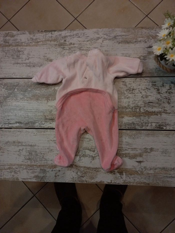 Grenouillère - photo numéro 2