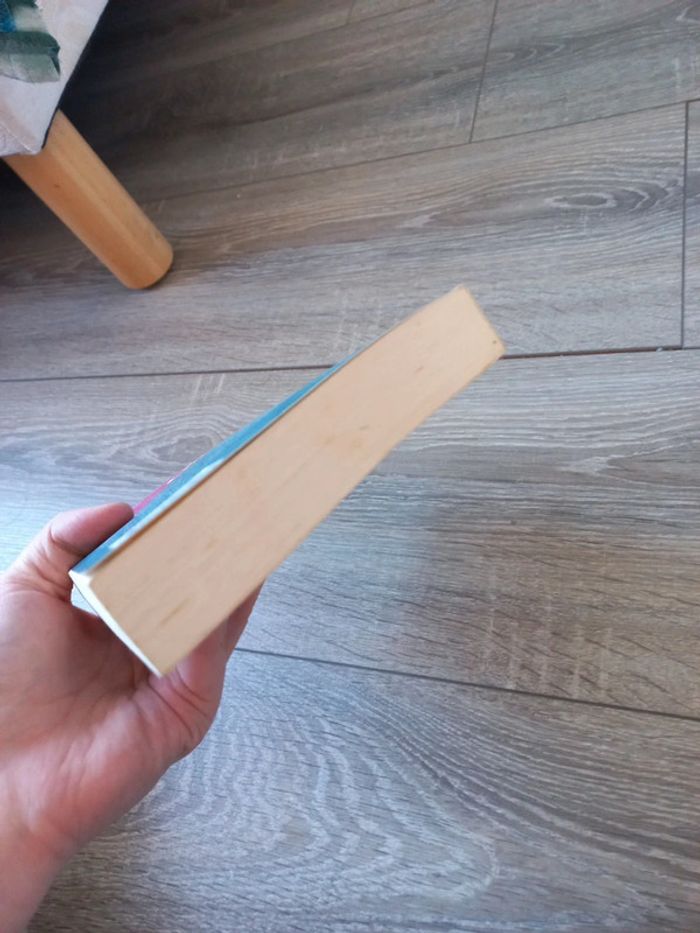 It girl- par l'auteur de Gossip girl - photo numéro 4