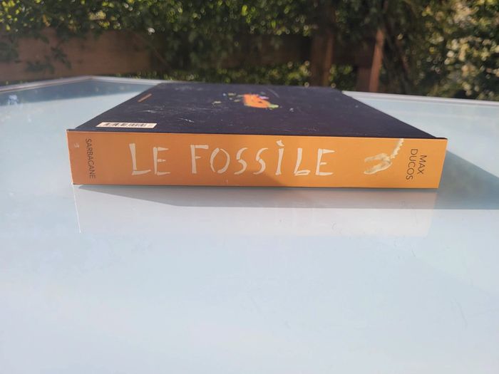Superbe livre animé Le Fossile, Max Ducos, Éditions Sarbacane - photo numéro 13