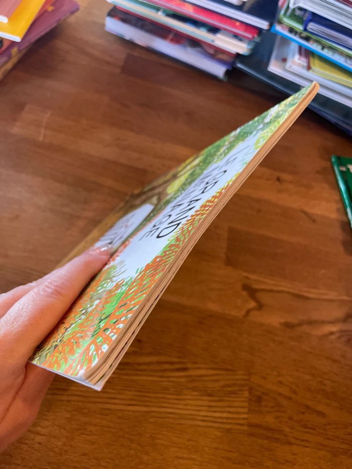 Livre L’école des max Le grand ménage - photo numéro 5