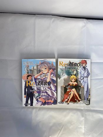 Lot de 2 mangas