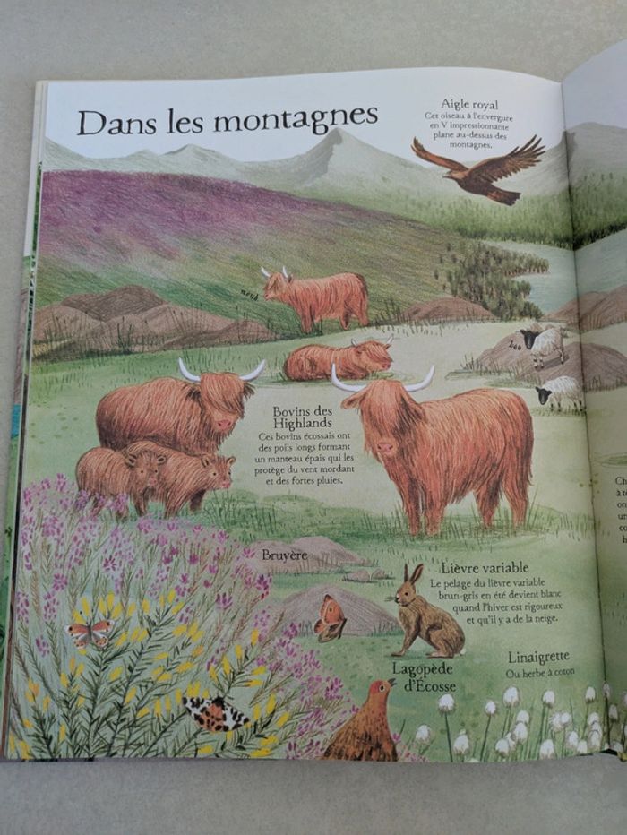 Mon grand livre illustré La nature Usborne - photo numéro 3