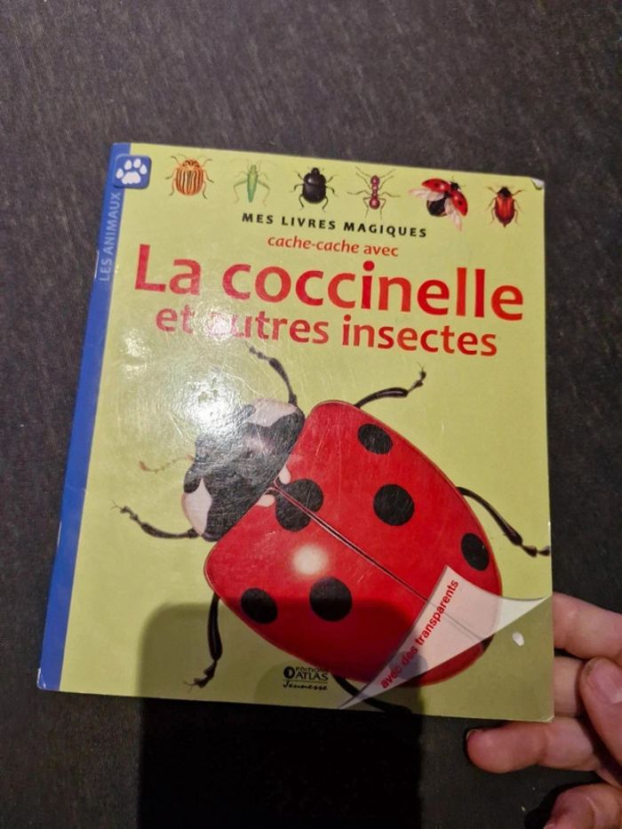Livre magique cache cache - photo numéro 8