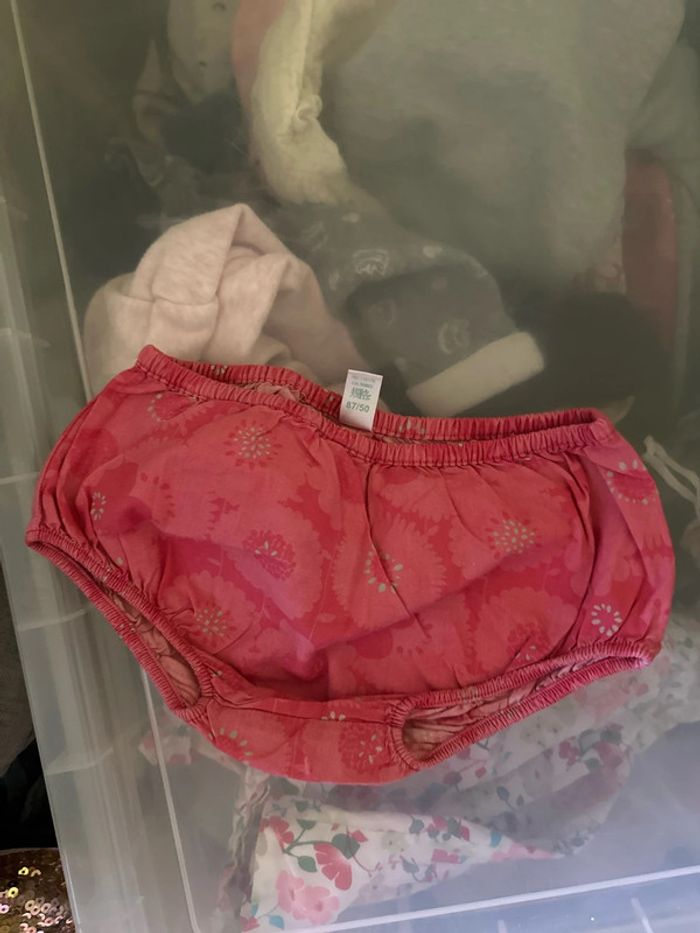 Culotté 86 - photo numéro 2