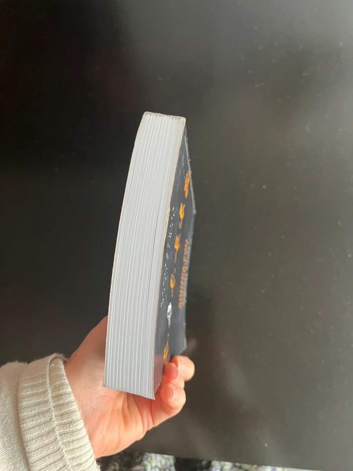 Livre La Fabrique des Fables Patrick Dandrey - photo numéro 15