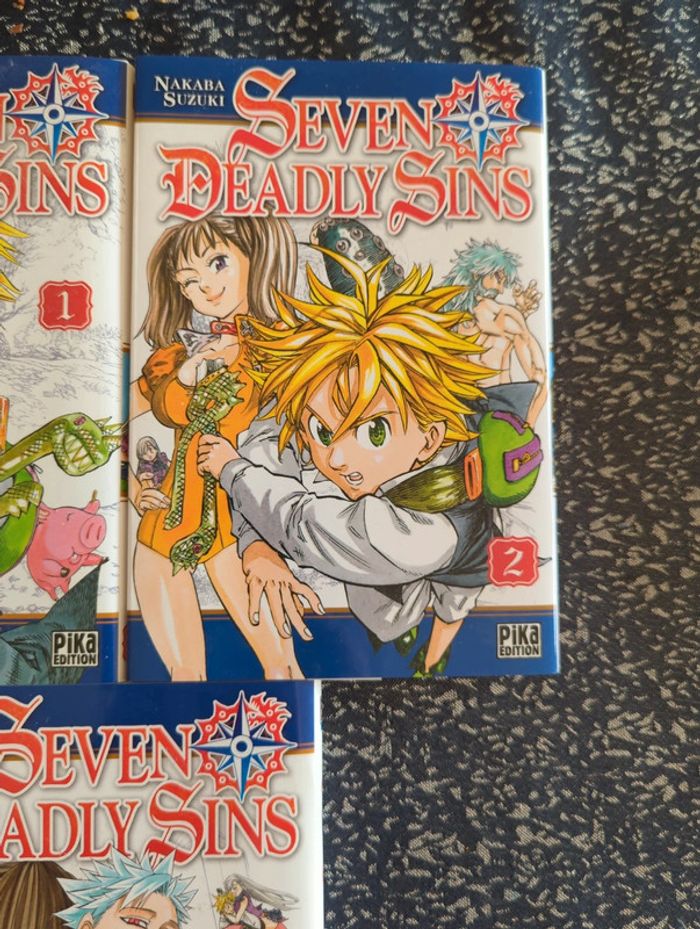 Seven Deadly Sins - photo numéro 3