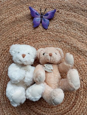 X2 peluches ours neuves