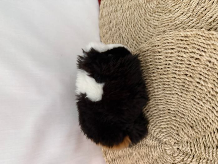 WWF cochon d'inde en peluche - photo numéro 5