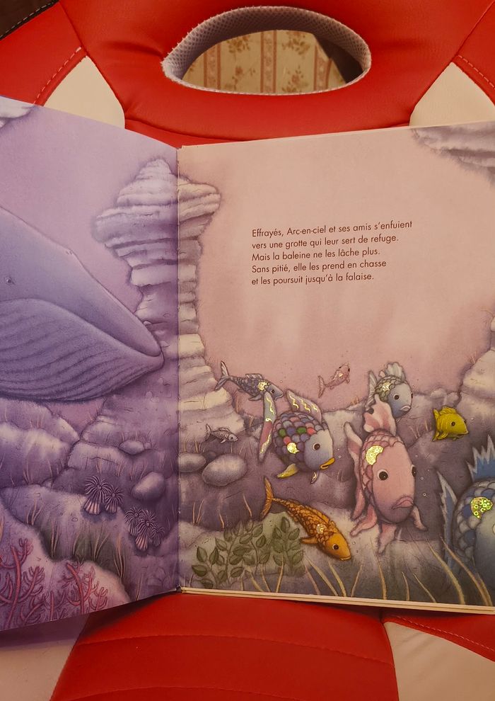 Livre arc_en_ciel - photo numéro 2