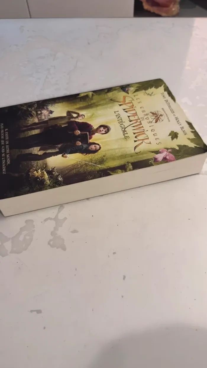 📚 Les Chroniques de Spiderwick – L’Intégrale par Tony DiTerlizzi et Holly Black - photo numéro 3