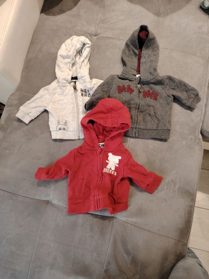 Lot pull à capuche avec zip