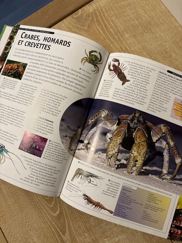 Livre Découverte junior animaux - photo numéro 2