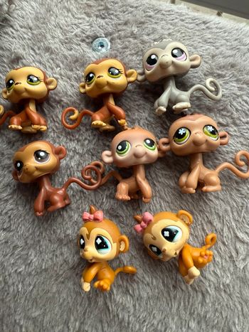 Lot petshop singe
